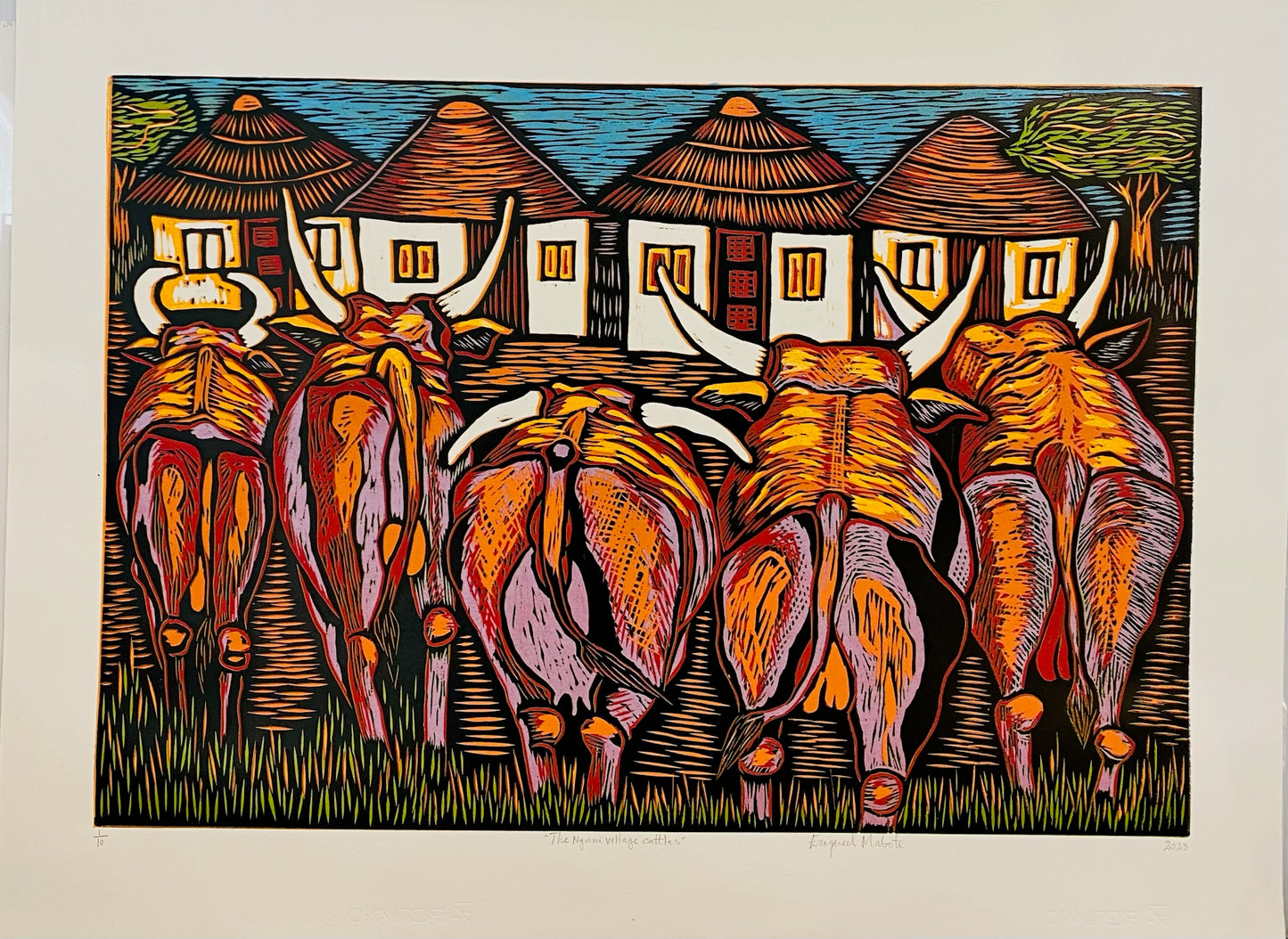 The Nguni Village Cattles