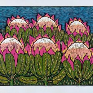 Proteas Of Natal V, 66x90cm