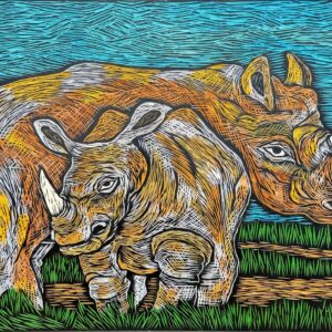 54x74cm
